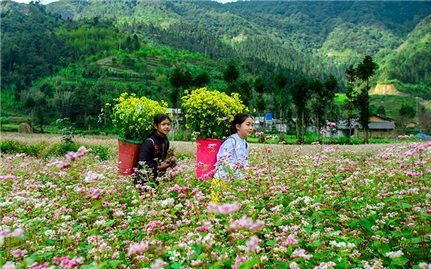 Nhiều điểm du lịch mở cửa đón du khách