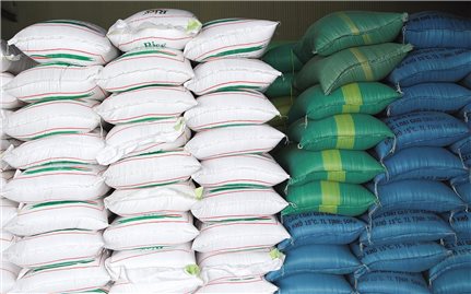Xuất cấp 741,285 tấn gạo hỗ trợ người dân Quảng Trị gặp khó khăn trong thời gian giãn cách xã hội