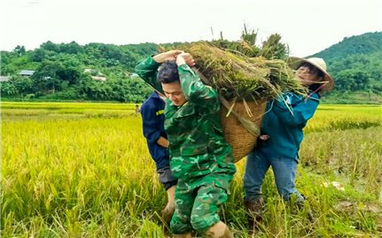 Bộ đội biên phòng Thanh Hóa giúp dân tránh bão