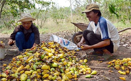 Bà Rịa - Vũng Tàu: Hơn 634 tỷ đồng đầu tư phát triển kinh tế- xã hội cho đồng bào DTTS