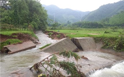 Quảng Trị: Mưa lớn gây thiệt hại, các địa phương lên phương án khắc phục