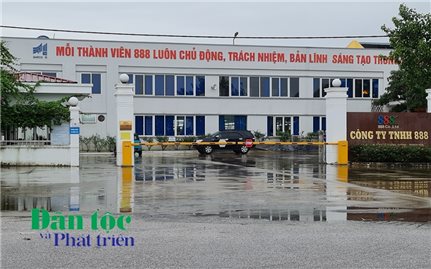 Thanh Hóa: Công ty TNHH 888 cho thuê đất dựng xưởng trái phép