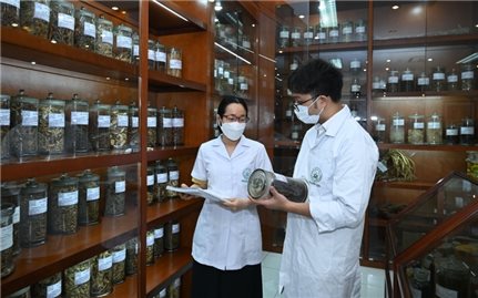 125 dược liệu, vị thuốc cổ truyền có tiềm năng sử dụng hỗ trợ điều trị Covid-19