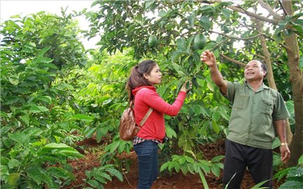 Đắk Lắk: Già làng, Người có uy tín khẳng định vai trò tuyên truyền phổ biến, giáo dục pháp luật trong vùng đồng bào