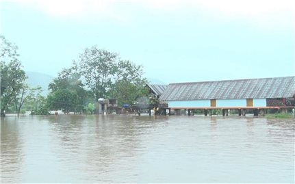 Đắk Lắk đề nghị hỗ trợ 251,5 tỷ đồng để khắc phục hậu quả thiên tai
