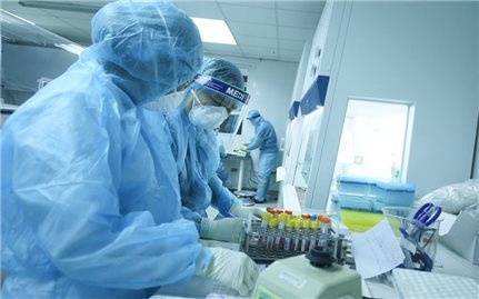 Ngày 19/11: Việt Nam có 9.625 ca COVID-19 và 1.971 ca khỏi bệnh