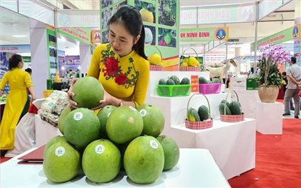 Hội chợ Đặc sản Vùng miền Việt Nam 2021 sẽ diễn ra từ ngày 16 - 19/12