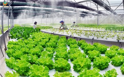 Phát triển chuỗi giá trị nông nghiệp thông minh thích ứng biến đổi khí hậu tại tỉnh Bến Tre, Trà Vinh