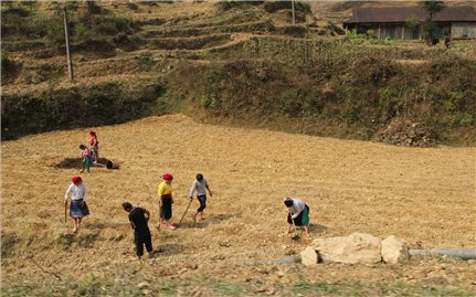 Cần giải quyết hài hòa chính sách đất đai trong vùng đồng bào DTTS