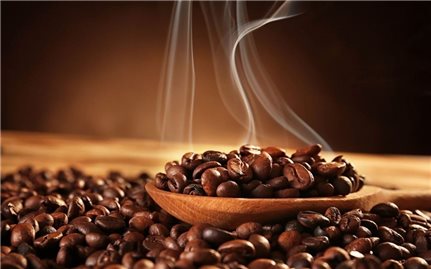 Giá cà phê hôm nay 13/12: Trong khoảng 40.800 - 41.600 đồng/kg