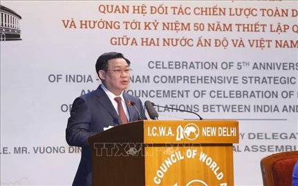 Lễ mít tinh kỷ niệm 5 năm quan hệ Đối tác chiến lược toàn diện Việt Nam - Ấn Độ