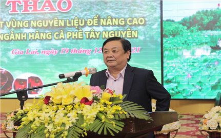 Tổ chức sản xuất vùng nguyên liệu để phát triển bền vững cà phê Tây Nguyên