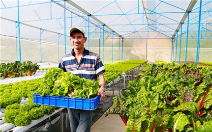 Lâm Đồng: Tăng cường quản lý nguồn gốc sản phẩm nông sản