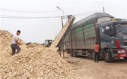 Bắc Giang: Cảnh báo nhiều cơ sở chế biến gỗ ảnh hưởng môi trường