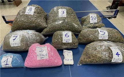 Lực lượng Hải quan phát hiện và bắt giữ 151 vụ liên quan đến ma túy
