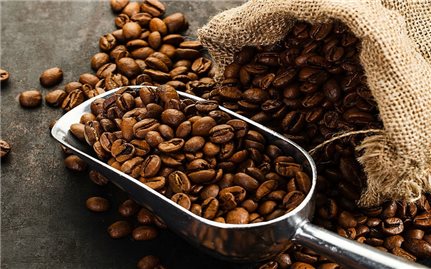 Giá cà phê hôm nay 5/1: Cà phê Arabica tăng mạnh