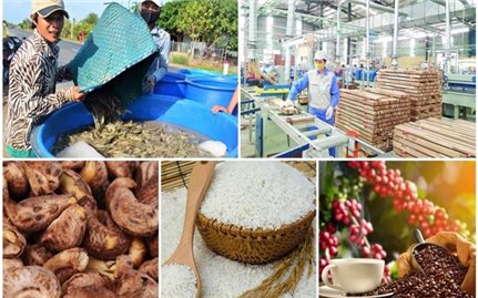 Năm 2021, xuất khẩu nông, lâm, thủy sản lập kỷ lục mới 48,6 tỷ USD