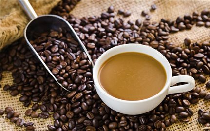 Giá cà phê hôm nay 6/1: Thị trường cà phê trong nước tiếp tục giảm