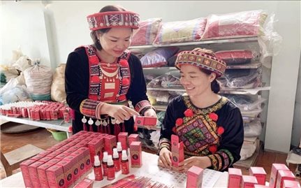 Ngân hàng ADB hỗ trợ doanh nghiệp vừa và nhỏ Việt Nam do phụ nữ làm chủ