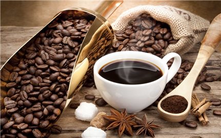 Giá cà phê hôm nay 18/2: Dao động khoảng 41.200 - 41.800 đồng/kg.