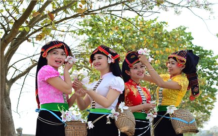 Điện Biên: Điều chỉnh quy mô Lễ hội Hoa Ban, dừng cuộc thi người đẹp