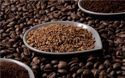 Giá cà phê hôm nay 1/3: Giảm mạnh tại thị trường trong nước và thế giới