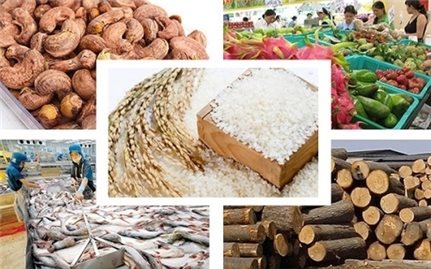 Xuất khẩu nông, lâm, thuỷ sản tháng 2 tăng gần 22%