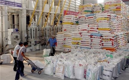 Hỗ trợ Sơn La và Điện Biên hơn 1.000 tấn gạo kỳ giáp hạt