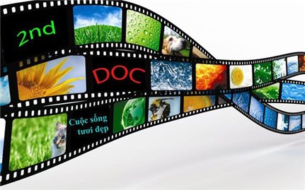 Thu hồi giấy phép nhập khẩu phim khi nội dung phim vi phạm quy định cấm