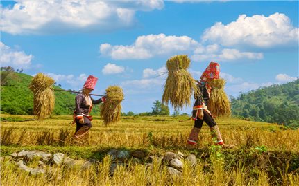 Bình Liêu (Quảng Ninh): Ưu tiên nguồn lực nâng chất tiêu chí và đạt chuẩn nông thôn mới