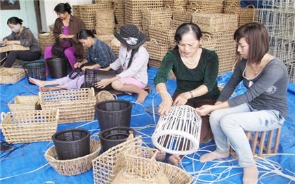 Lâm Đồng: Đạ Tẻh tạo việc làm cho lao động nông thôn