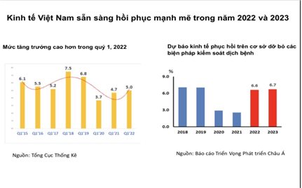 Nhờ bao phủ vaccine, ADB dự báo GDP Việt Nam phục hồi ở mức 6,5%