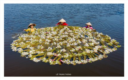 Phát động Cuộc thi và Triển lãm ảnh nghệ thuật Việt Nam