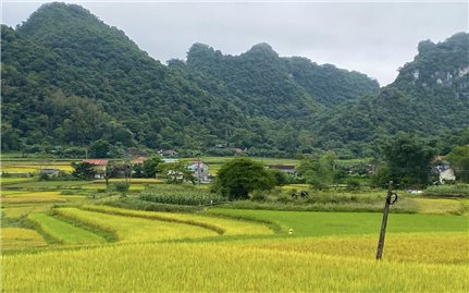 Cao Bằng: Thành lập Ban Chỉ đạo thực hiện Chương trình mục tiêu quốc gia cấp huyện