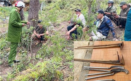 Bắt quả tang 5 đối tượng phá rừng, lấn chiếm đất lâm nghiệp ở Đà Lạt