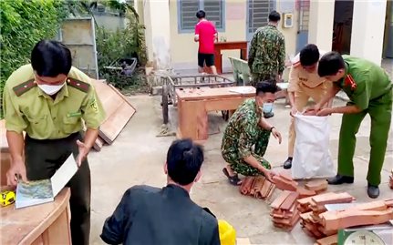 Bắt quả tang đối tượng vận chuyển đồ gỗ nhập lậu tại khu vực biên giới huyện Tri Tôn