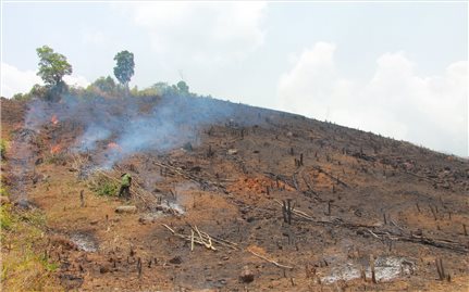 Đắk Lắk: Dân phá rừng chiếm đất... như chốn không người