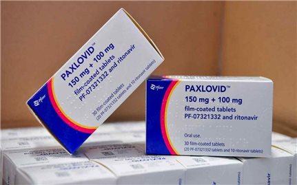 WHO khuyến nghị sử dụng thuốc Paxlovid trong điều trị bệnh nhân COVID-19