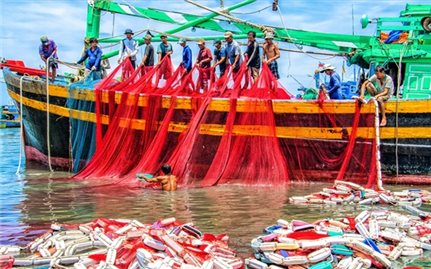 Phê duyệt Chương trình điều tra, đánh giá tổng thể nguồn lợi thủy sản