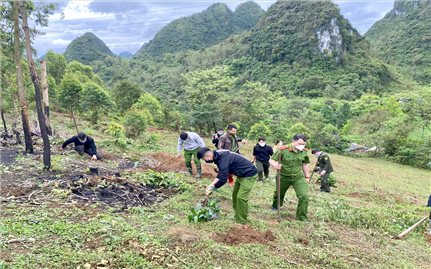 Tấn công, truy quét xóa bỏ cây thuốc phiện trên địa bàn huyện Bắc Sơn
