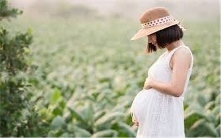 Phụ nữ mang thai nên kiêng gì trong 3 tháng đầu thai kỳ?