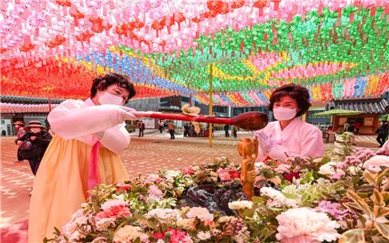 Hàn Quốc hướng về ngày lễ Phật đản