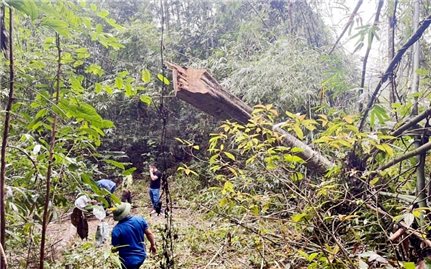 Thanh Hóa: Liên tiếp xảy ra các vụ phá rừng ở Quan Sơn
