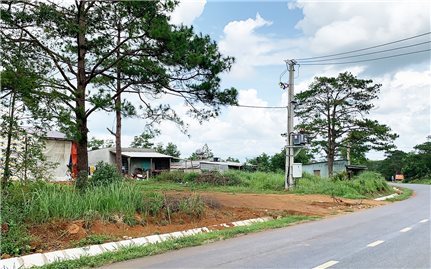 Huyện Đắk Glong (Đắk Nông): Sẽ cưỡng chế 32 trường hợp lấn chiếm đất rừng