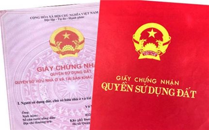 Bình Định: Hai cán bộ huyện Phù Mỹ bị bắt tạm giam vì sai phạm trong việc cấp sổ đỏ