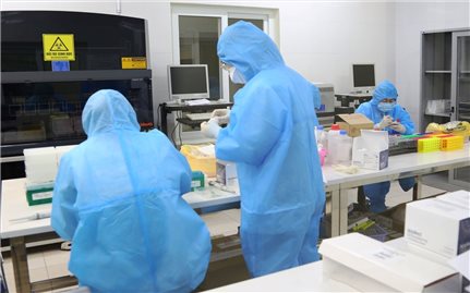 Ngày 29/6: Việt Nam có 777 ca mắc COVID-19 và 9.387 ca khỏi bệnh