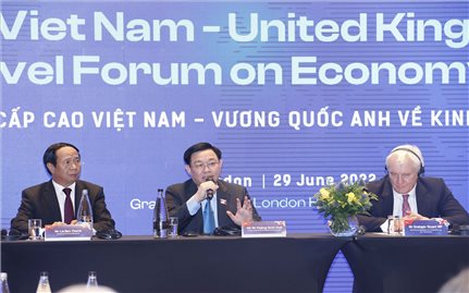 Tọa đàm cấp cao kinh tế thương mại Việt Nam - Anh