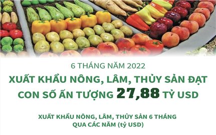 Xuất khẩu nông, lâm, thủy sản đạt con số ấn tượng