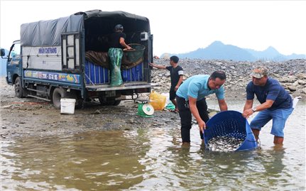 Tuyên Quang: Trên 100 hộ DTTS tham gia chương trình tái tạo nguồn lợi thủy sản
