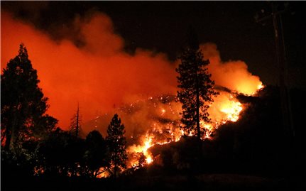 Cháy hàng nghìn ha rừng tại Mỹ và Hi Lạp